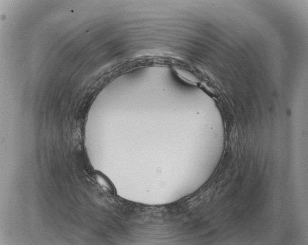 X0000086001062200704201826