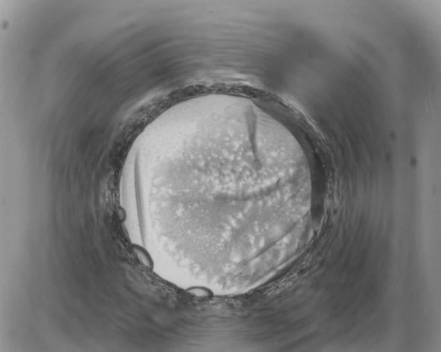 X0000086001063200704201826