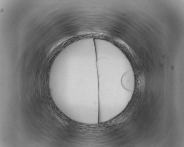 X0000086001064200704201826