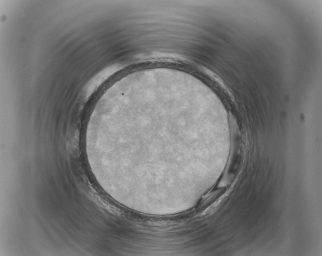 X0000086001066200704201826