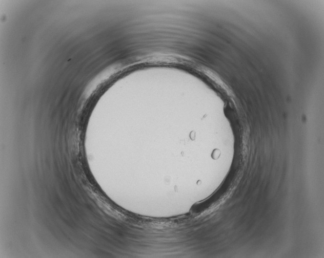 X0000086001067200704201826