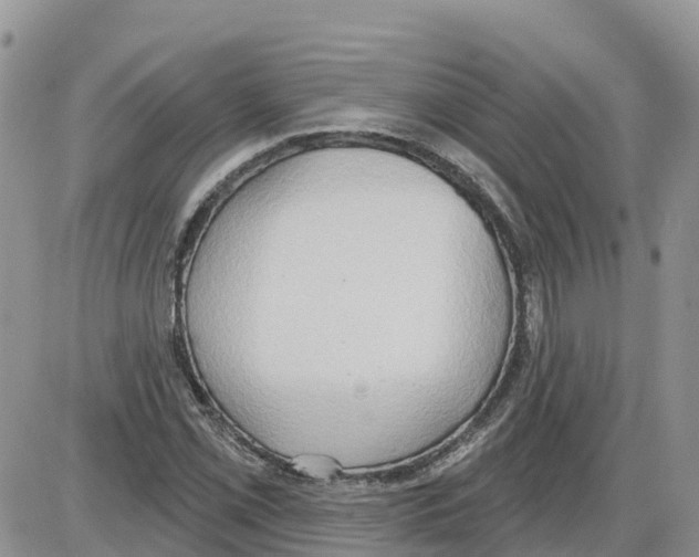 X0000086001069200704201826