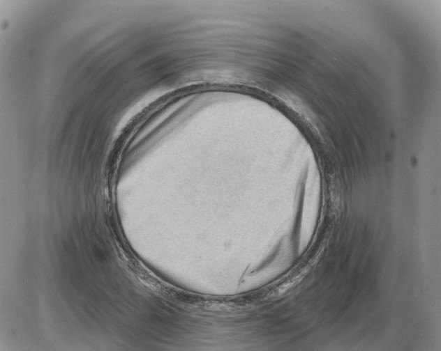 X0000086001070200704201825