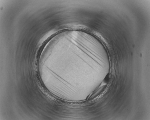 X0000086001071200704201825