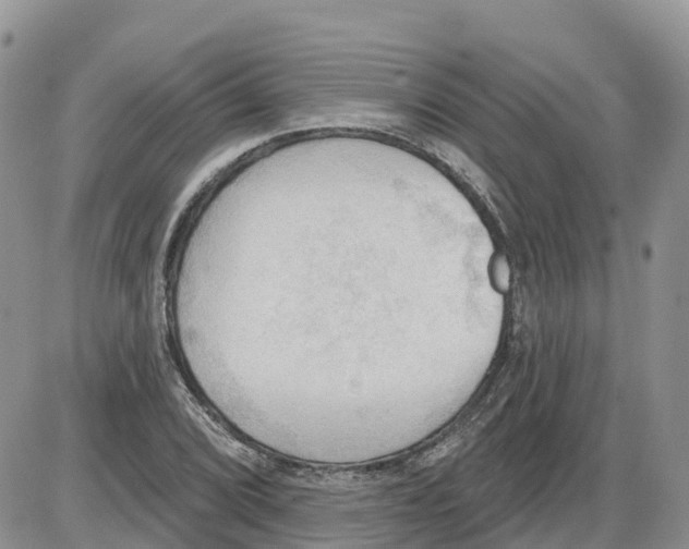 X0000086001072200704201825