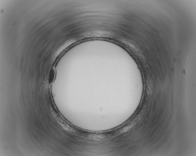 X0000086001073200704201825