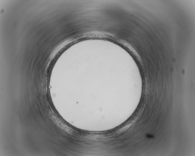 X0000086001075200704201825