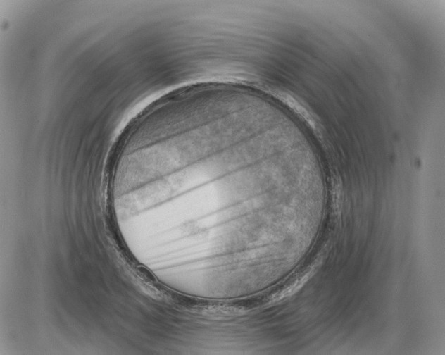 X0000086001077200704201825