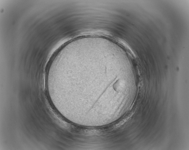 X0000086001079200704201825