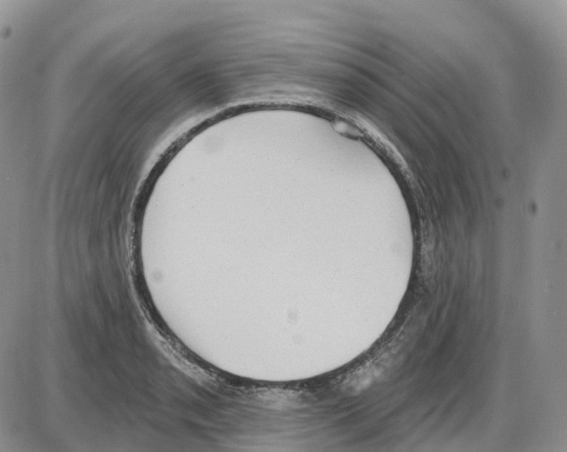 X0000086001085200704201825