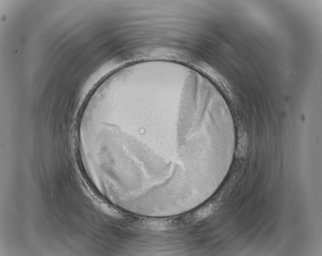 X0000086001086200704201825