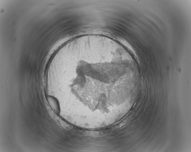 X0000086001088200704201825