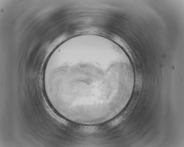 X0000086001090200704201825