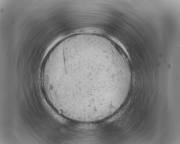 X0000086001091200704201825