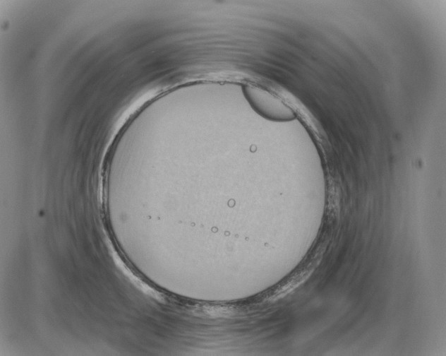 X0000086001095200704201825