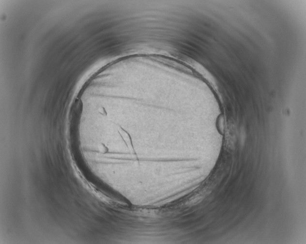 X0000086001096200704201825