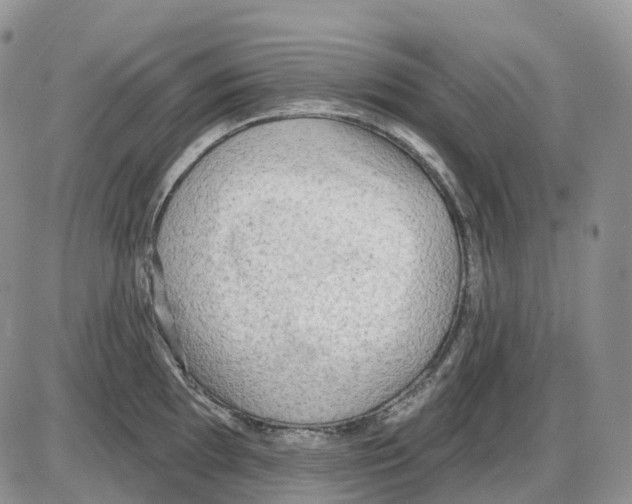 X0000086001097200704201825