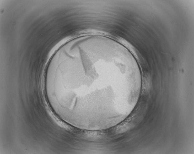 X0000086001098200704201825