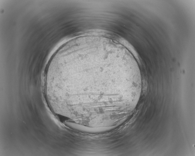 X0000086001099200704201825