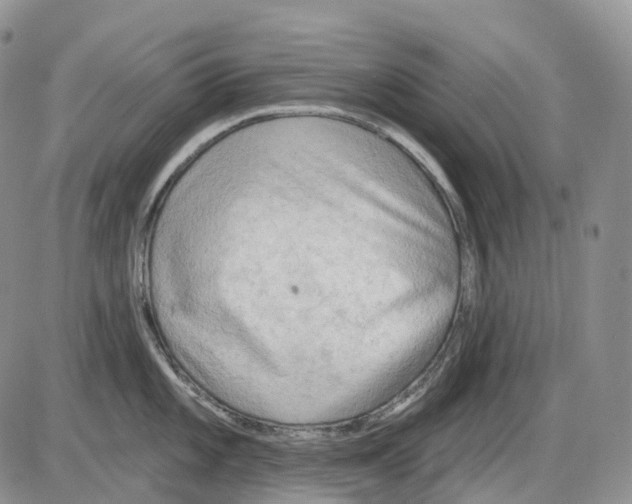 X0000086001101200704201825