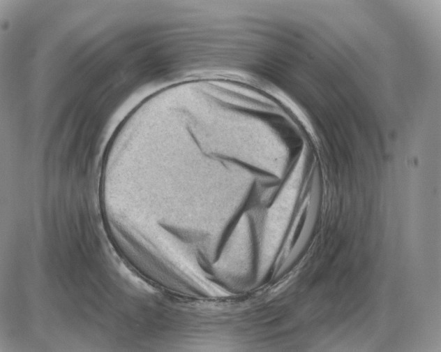 X0000086001102200704201825