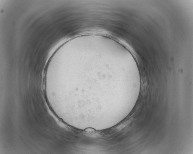 X0000086001103200704201825