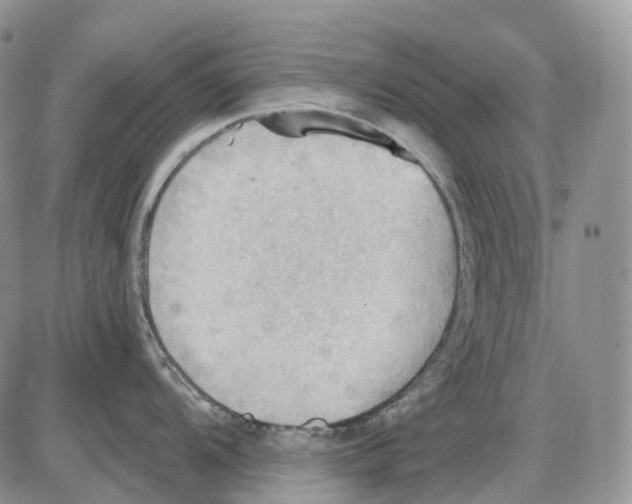 X0000086001104200704201825