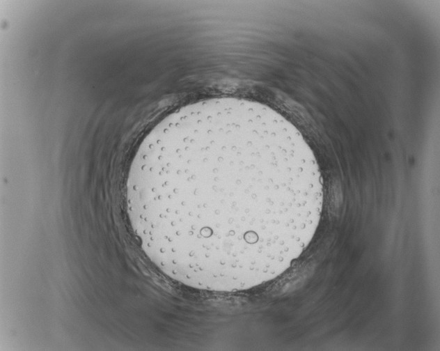 X0000086001105200704201824