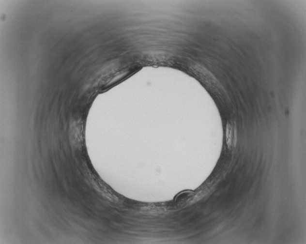 X0000086001107200704201824