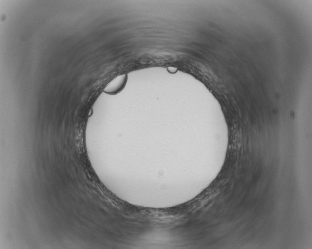 X0000086001109200704201824