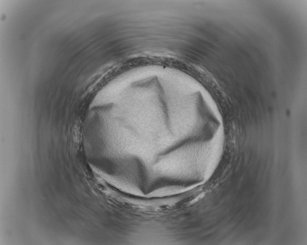 X0000086001110200704201824