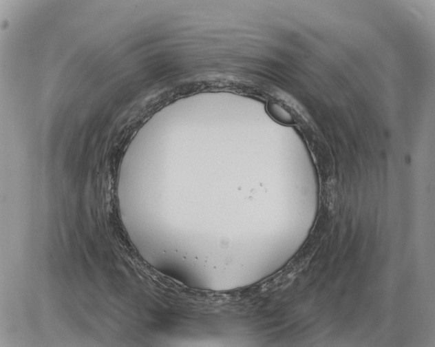 X0000086001111200704201824