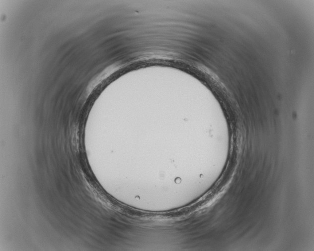 X0000086001113200704201824