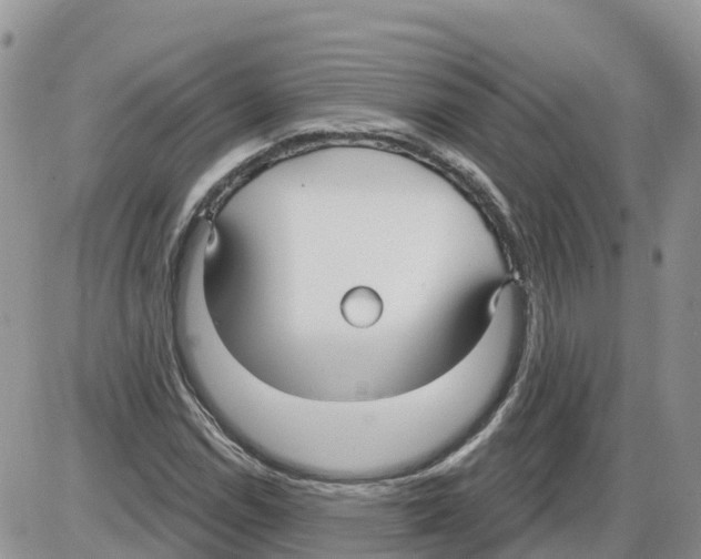 X0000086001114200704201824