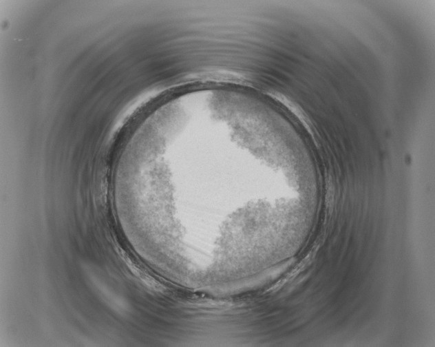 X0000086001115200704201824