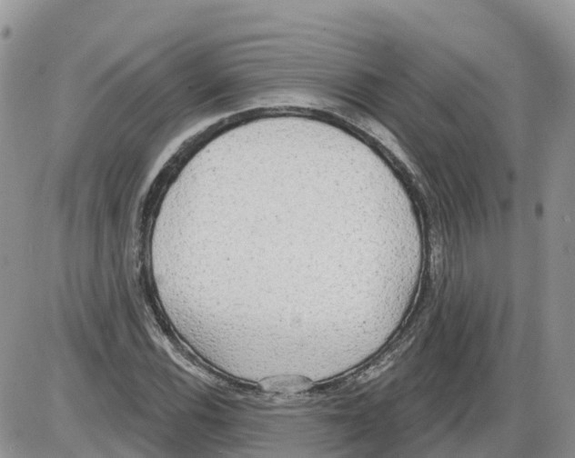 X0000086001116200704201824