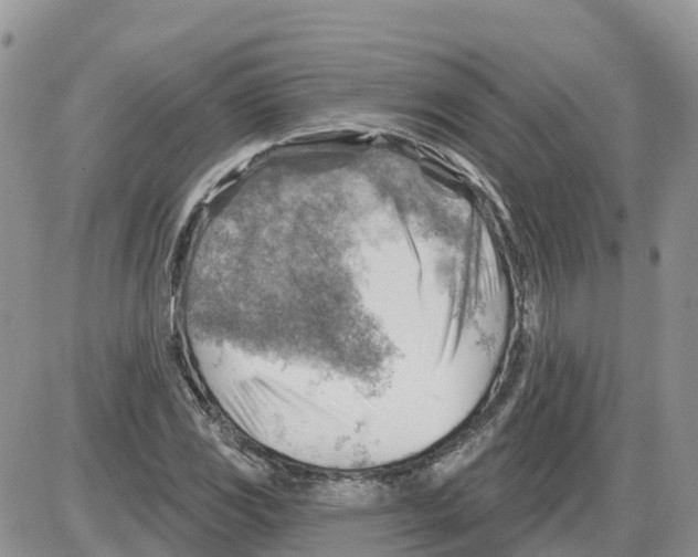 X0000086001117200704201824