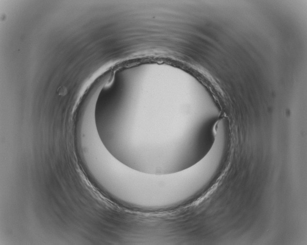 X0000086001118200704201824