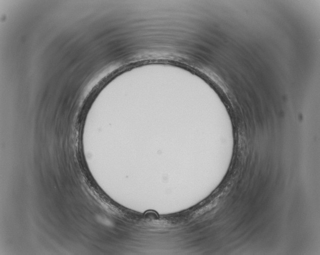 X0000086001119200704201824