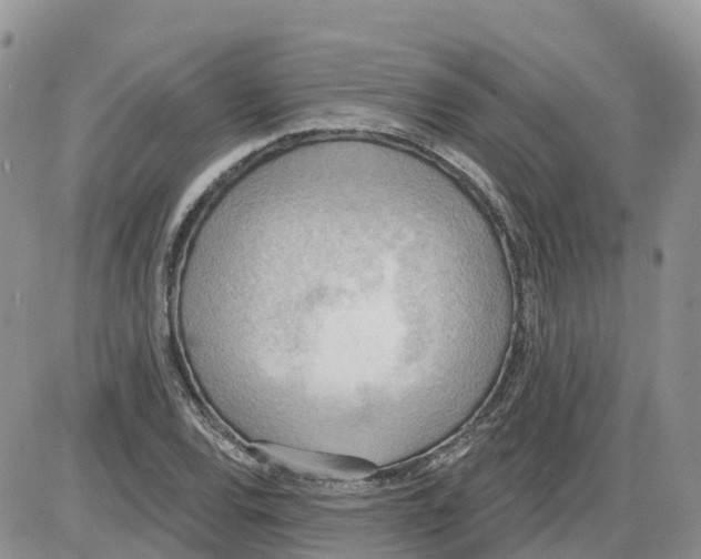 X0000086001120200704201824