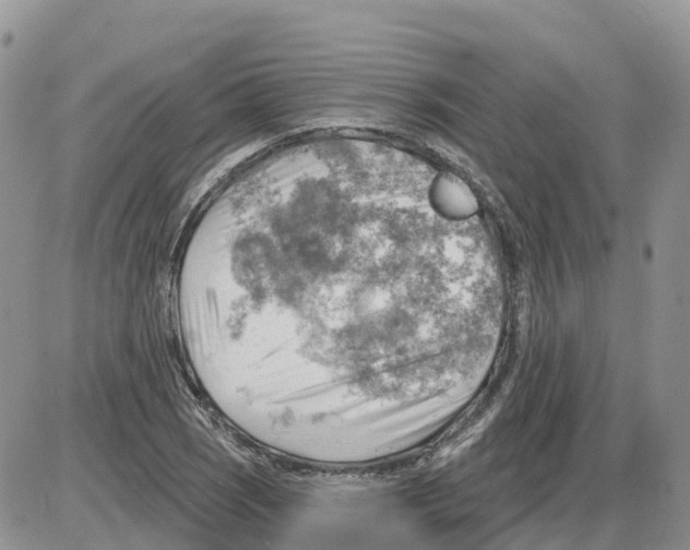 X0000086001121200704201824