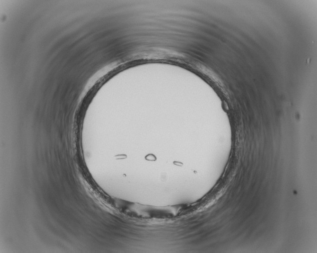 X0000086001122200704201824