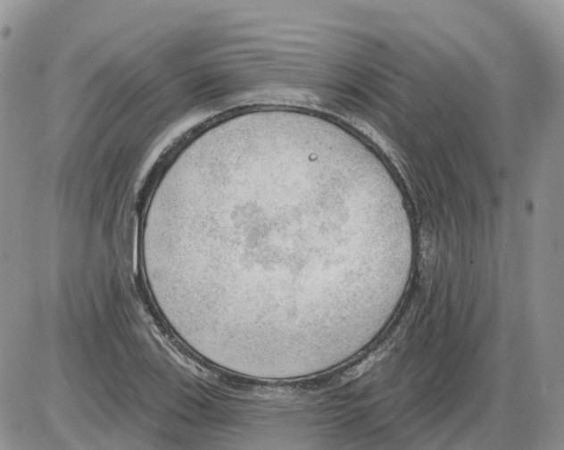 X0000086001123200704201824