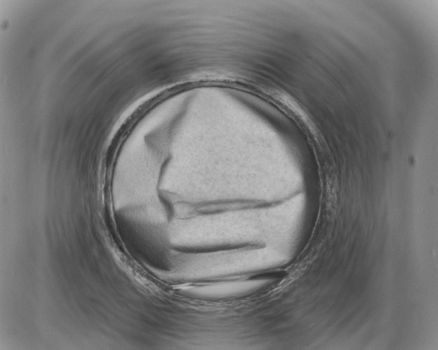 X0000086001124200704201824