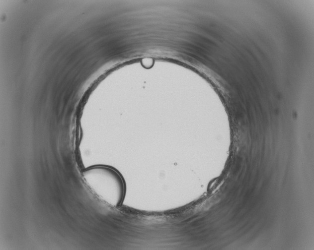 X0000086001126200704201825