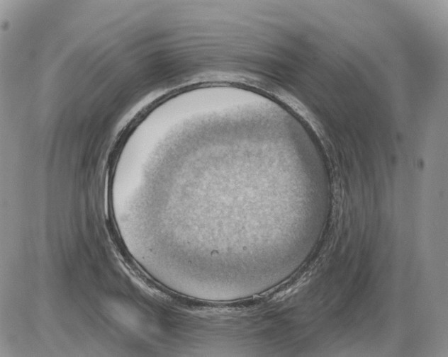 X0000086001127200704201825