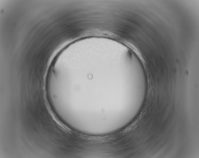 X0000086001128200704201825