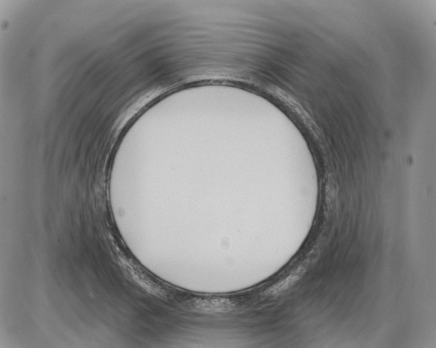 X0000086001129200704201825