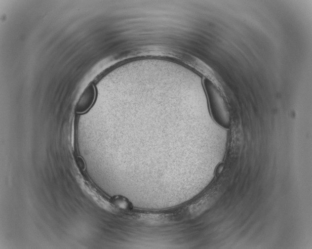 X0000086001132200704201825