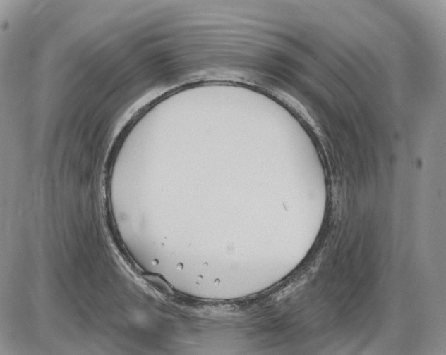 X0000086001133200704201825